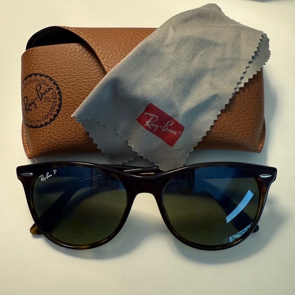 Ray-Ban Brown Sunglasses with Polarized Lenses